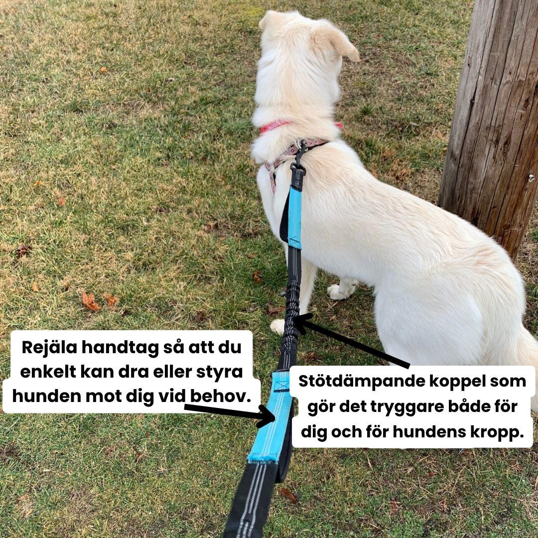 Handfritt midjekoppel - För hundar som drar